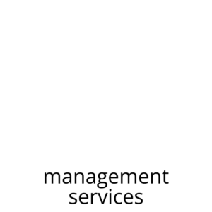 Icon of a magnified glass with chart for CRI - Risk Management Services